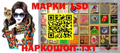 прущие грибы Гудермес