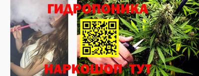 прущие крисы Аргун