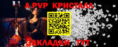 прущие грибы Гудермес