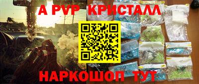 прущие грибы Гудермес