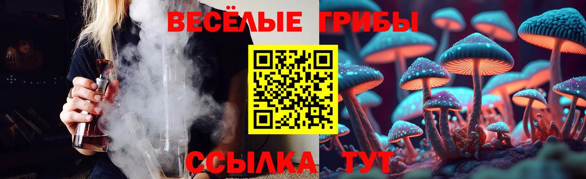 Псилоцибиновые грибы мицелий Артём