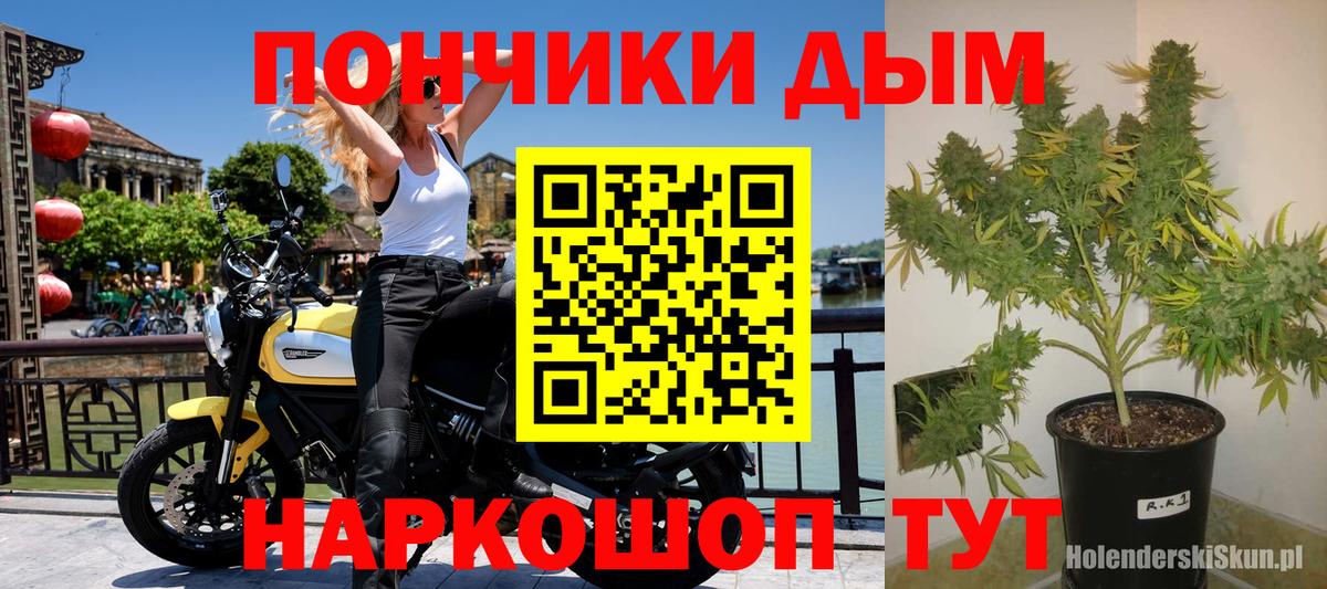 Шишки марихуана индика  Конопля план  МАРИХУАНА сатива  Артём 